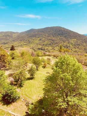 Belle appartement proche Gorges du Verdon